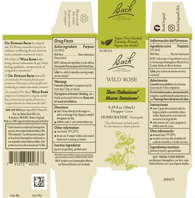Bach Original Flower Remedies Wild Rose (Wild Rose)